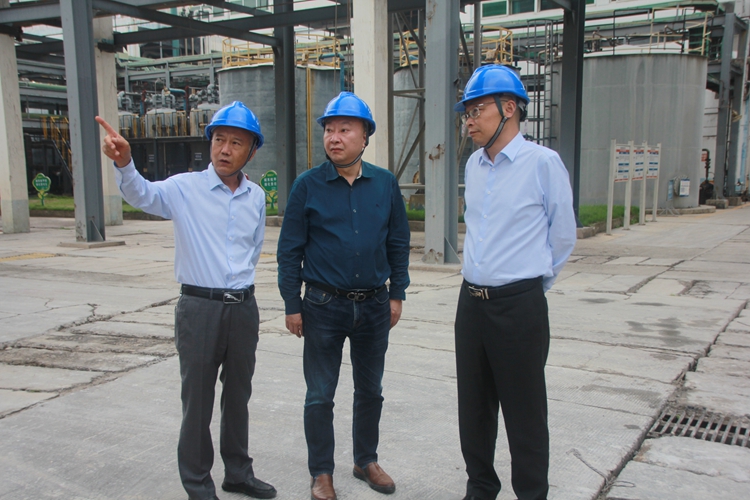 1664680017818075.jpg a0f2a692bb9aaa995ef794d56941d8f.jpg